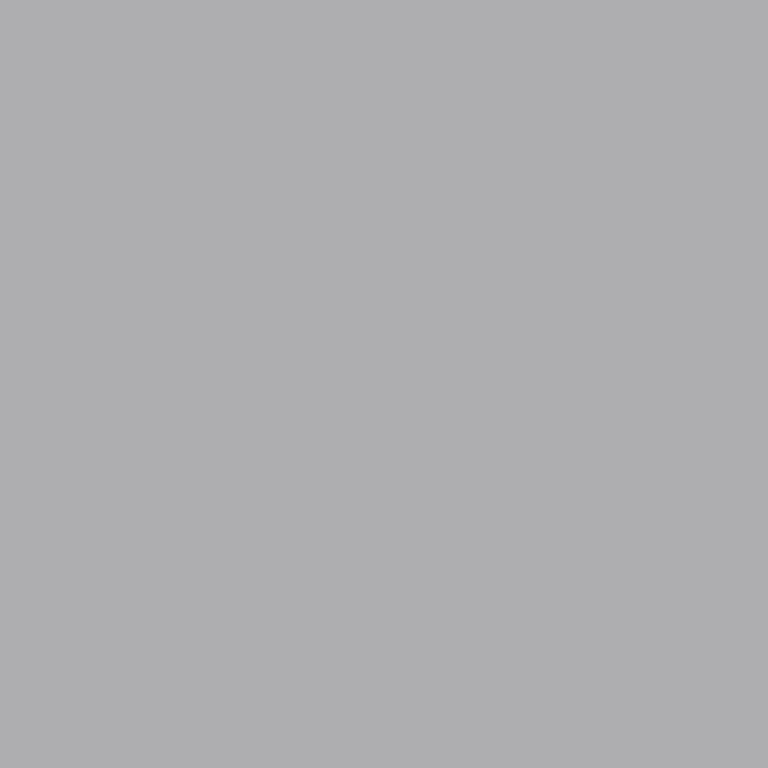 NICKEL GREY SF <br> 6480